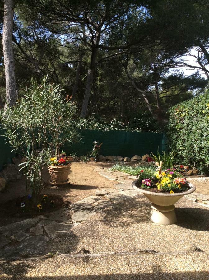 T2 Rez De Jardin 300M Plage De Beaucours Sanary Sur Mer Ngoại thất bức ảnh