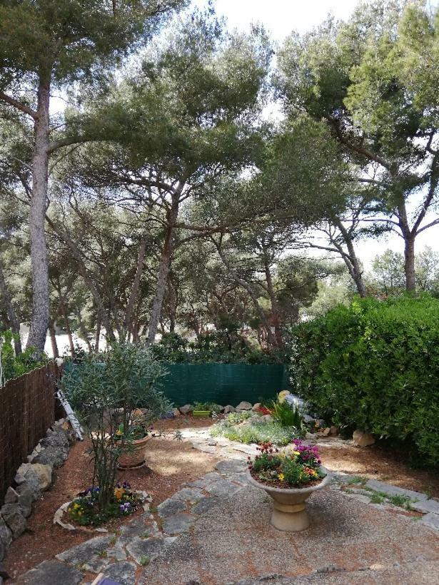 T2 Rez De Jardin 300M Plage De Beaucours Sanary Sur Mer Ngoại thất bức ảnh